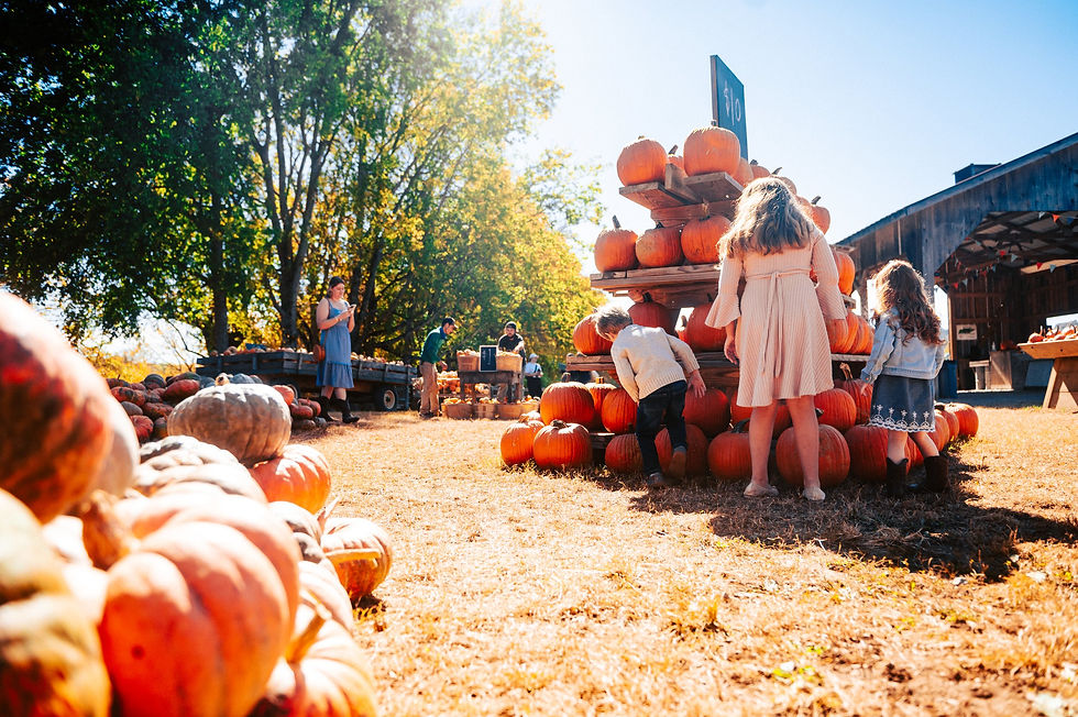 Physician Family Day at Gentry Farms 