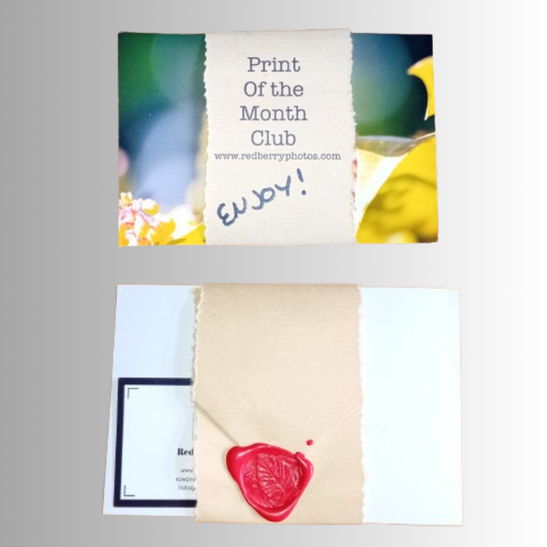 prints of the month