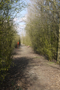 Potential Open Space, Cambridge