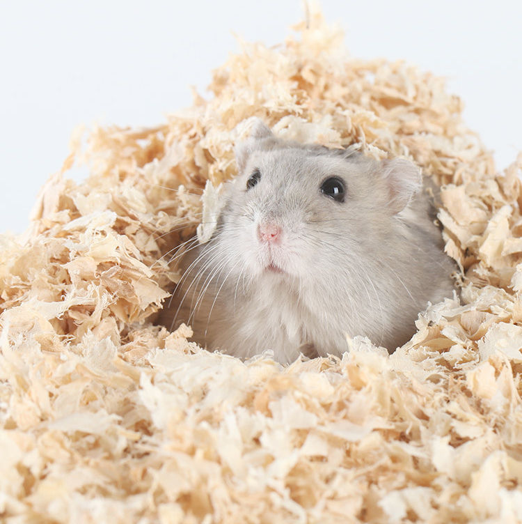 Thumbnail: Bucatstate 1000g Hamster Low Dust Deodorization Sawdust Wood Shavings Sawdust