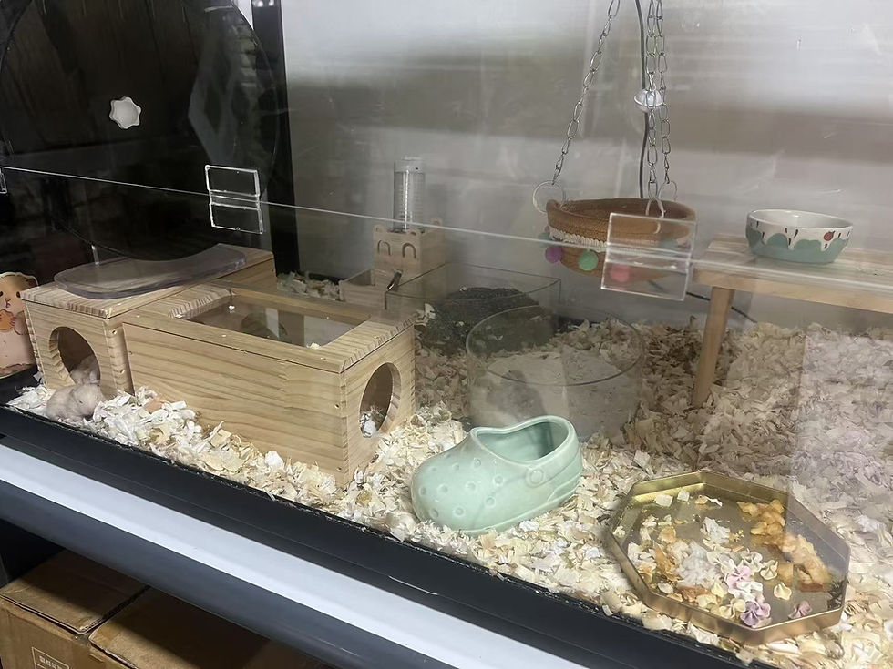 Thumbnail: Hamster Ceramic Fruit Sleeping Nest Food Bowl Anti Tipping Bowl