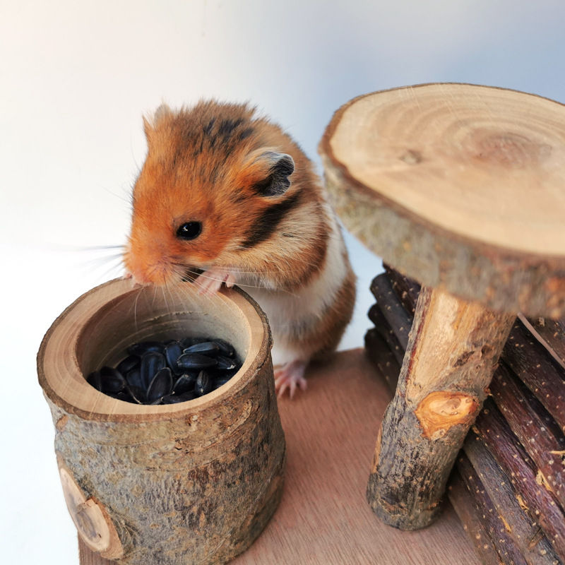 Thumbnail: Hamster Wooden Ladder Wooden Bridge Branch Toy Hamster Teeth Grinding Platform