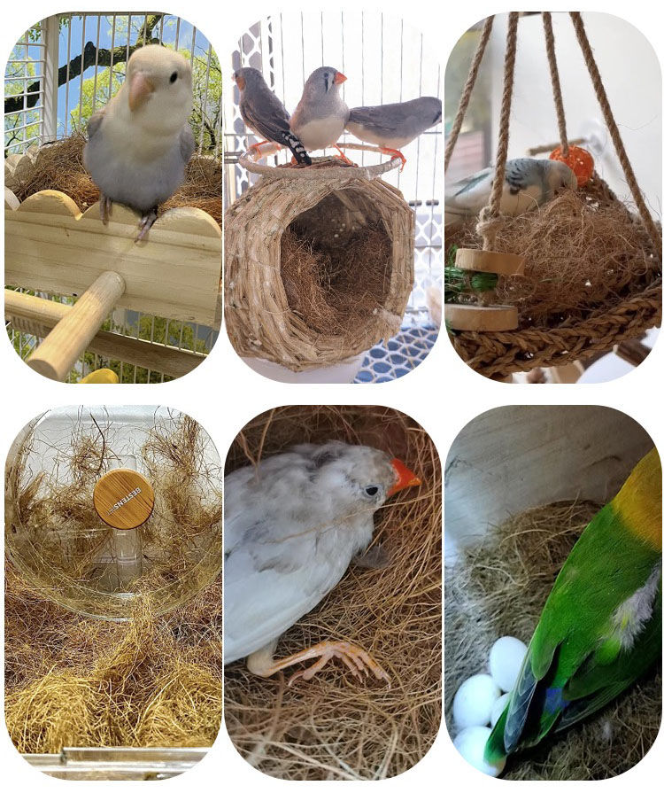Thumbnail: Bucatstate Hamster Bedding Breathable Non-perishable Deodorizing Dry Moss