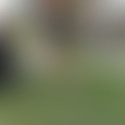 AWESOMENESS in Training!