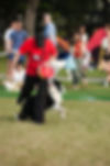 Disc Dogging