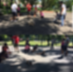 Dog Obedience Class