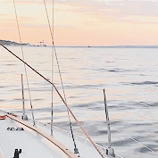 c846c1ca0aa2729f9ce3e869a2db295555f481bb.gif