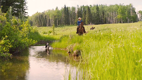 b6981a92b202da0c281ad82d3db4474304d3f03b.gif