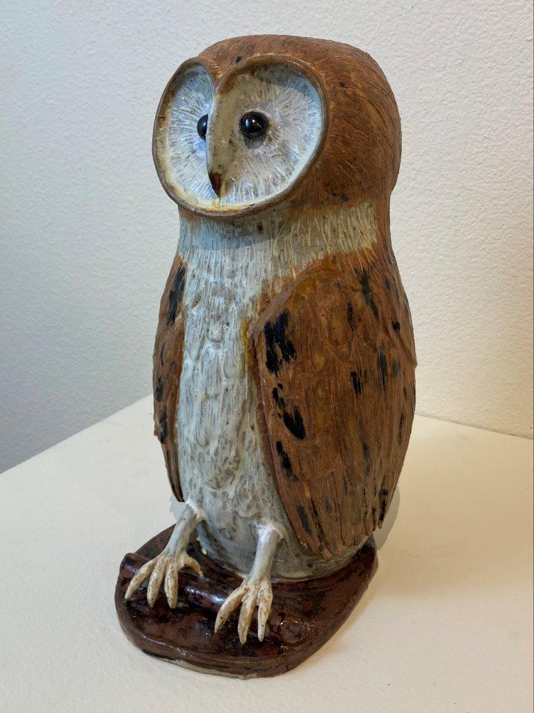 Barn Owl