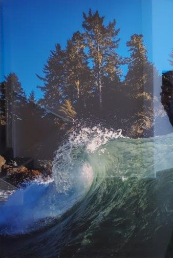 Ocean & Earth