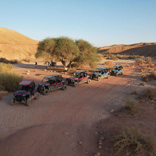 רייזר רמון | טיולי שטח בדרום | ימי גיבוש | שיירת רייזרים ארוכה נוסעת בתוך נחל ארדון במכתש רמון.