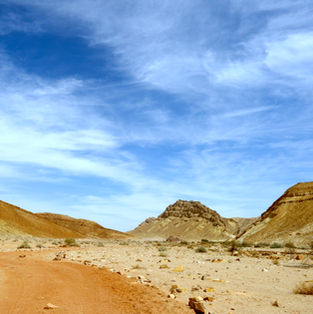 גבעות חול אדומות ומרשימות במכתש רמון.