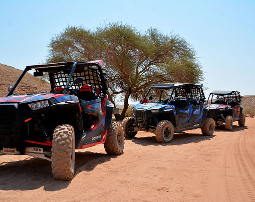 גווני בראשית