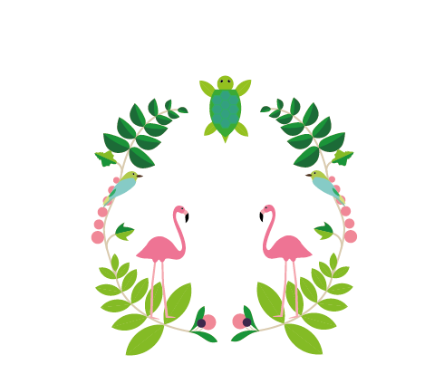 tortuga.png