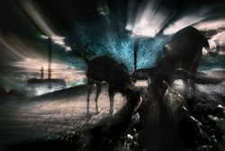 Francesco Tadini - Hungry dogs