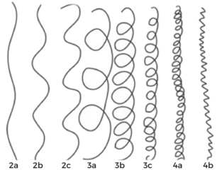 How to Determine What Hair Type You Have & Why It Matters