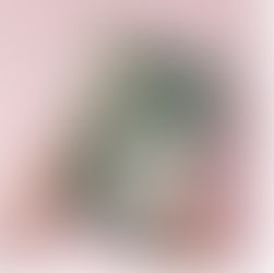 Avec “Be Green” et Ca[re], Eurocommercial renforce sa stratégie ESG et vise la neutralité carbone tout en certifiant 100 % de ses centres en BREEAM V6.