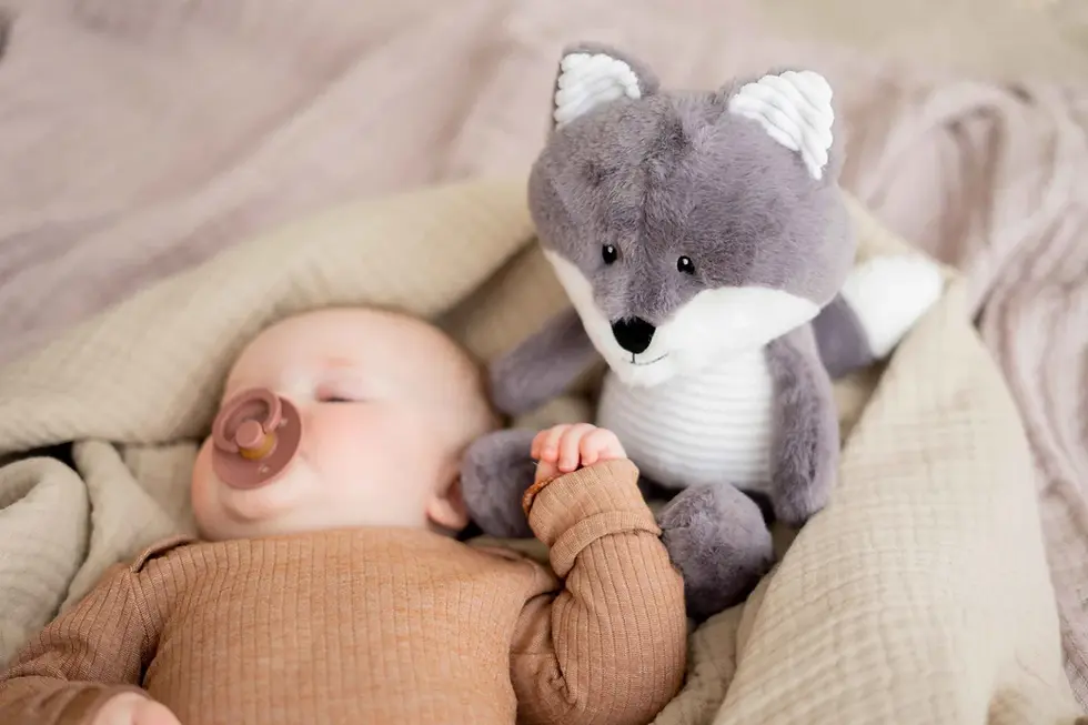 Miniature : Robin  - Doudou avec battements de cœur