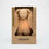 Miniature : Veilleuse Bruits Blanc - Coton Bio - Lapin Cappuccino - Moonie