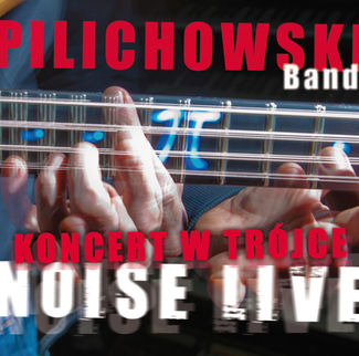 10. 2011r. Wojtek Pilichowski - Noise Live - Agencja Fonograficzna Polskiego Radia.jpeg