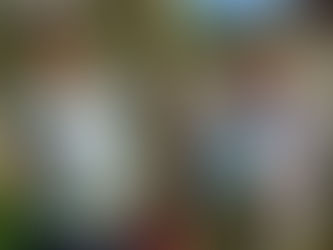 Learn To Sew on Our Courses