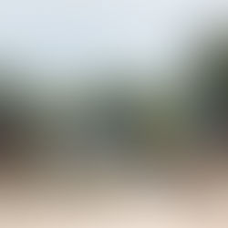 Christian mass displacement in Sudan