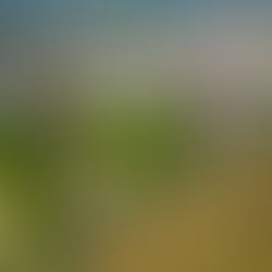 Prefeitura disponibiliza guias do IPTU 2026 a partir de 2 de janeiro