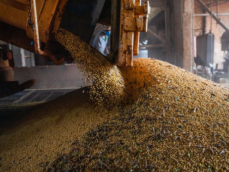 IBGE estima safra recorde de 296,2 milhões de toneladas em 2023