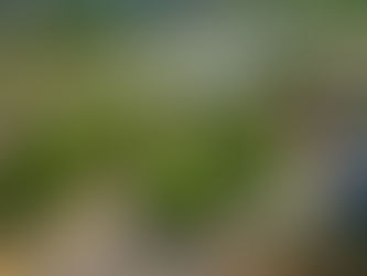 Prefeitura divulga funcionamento dos serviços no feriado de 20 de novembro