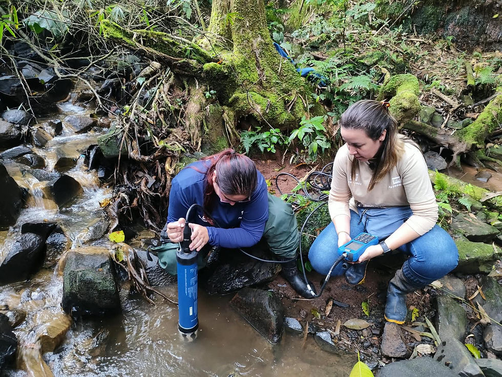 Projeto VerdeSinos promove oficina gratuita sobre áreas úmidas e biodiversidade na Unisinos