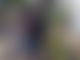 Homem é preso após denúncia de importunação sexual na Redenção, em Porto Alegre