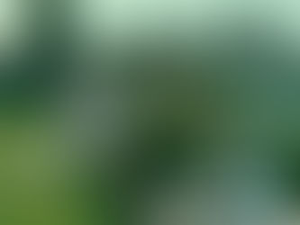 VÍDEO: homens armados com facas roubam faixa e bandeira em festa de escolinha do Grêmio