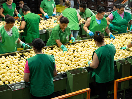 Sicredi Pioneira destina R$ 632 milhões ao Plano Safra 2026/2027