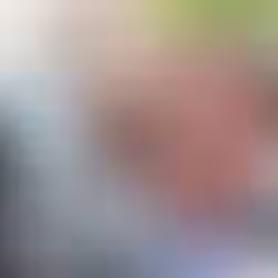 Bolsonaro teve acesso à defesa prévia de general que confessou plano