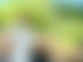 Vereadora Iara Cardoso propõe programa para incentivar denúncias de infrações ambientais em São Leopoldo