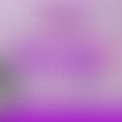 UBS Padre Orestes recebe Mutirão da Saúde da Mulher em outubro