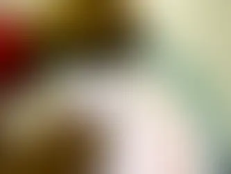 Mega-Sena sorteia nesta terça-feira prêmio acumulado em R$ 51 milhões