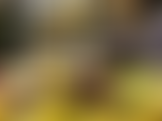 Prévia da inflação oficial sobe para 0,62% em novembro