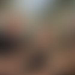 Feira de adoção da Sempa garante novo lar para 25 animais em São Leopoldo