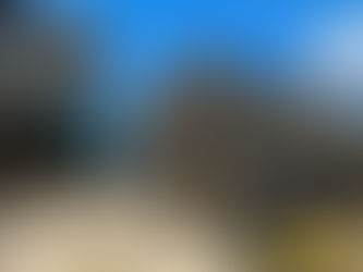 PRF apreende mais de 200 quilos de drogas com ajuda dos cães farejadores em Porto Alegre