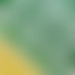 Mega-Sena acumula e próximo concurso deve pagar R$ 67 milhões