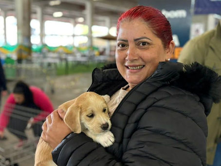 Feira de adoção realizada na Leroy Merlin proporciona novos lares para 20 animais