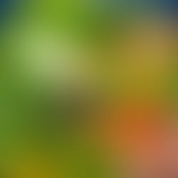 Cesta básica sobe 0,97% em fevereiro em São Leopoldo, aponta Procon