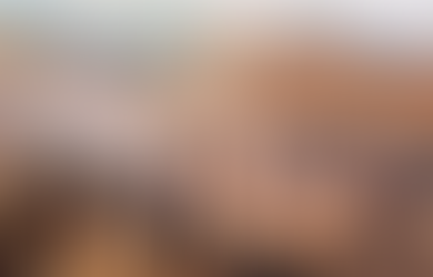 Proclamação da República em 15 de novembro de 1889, nosso primeiro golpe militar