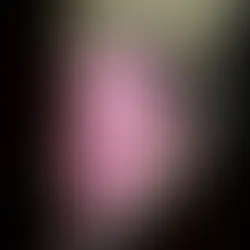 Defesa pede ao STF autorização para Bolsonaro reduzir pena por meio da leitura de livros