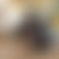 Reencontro emocionante entre tutor e seu cachorro, acontece em desfile de 7 de Setembro em Caxias do Sul