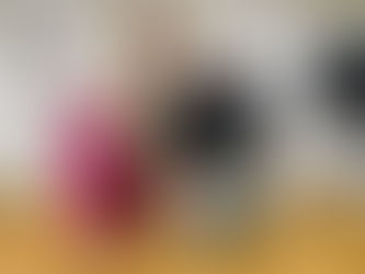 São Leopoldo: Câmara aprova Projeto de Lei que institui o Programa Escritores da Gente