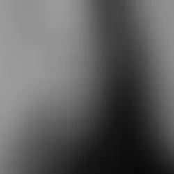 Quando o professor volta - Por Daniela Bitencourt Andara