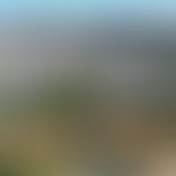 São Leopoldo registra saldo positivo de 220 empregos em junho, aponta CAGED