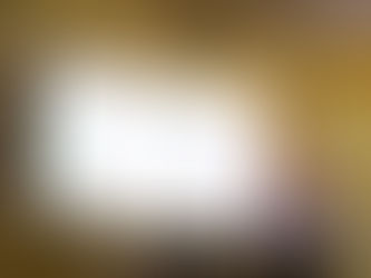 Pacote fiscal do Executivo é aprovado e prevê até R$ 1 bilhão em crédito para São Leopoldo